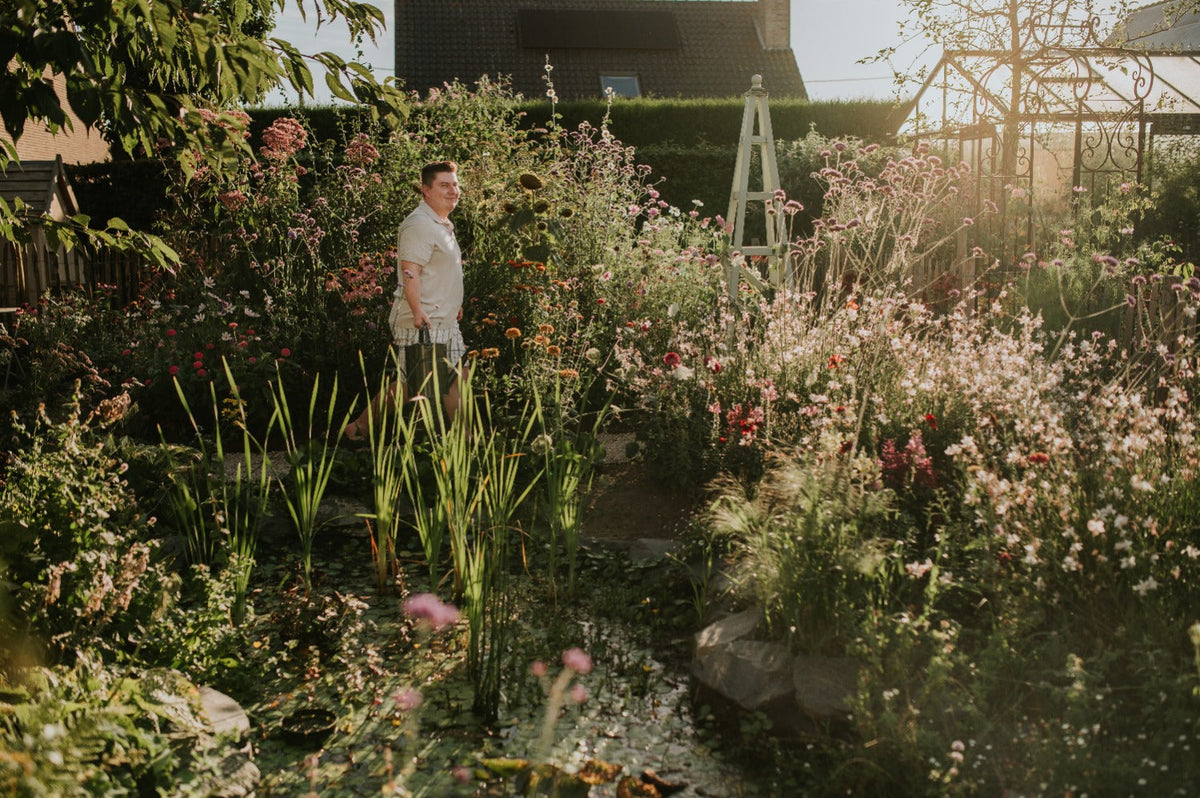een natuurlijke vijver aanleggen voor meer biodiversiteit