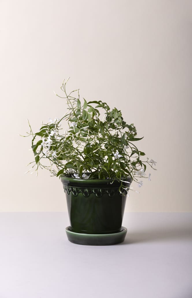 Pot Københavner - geglazuurd-Angelo