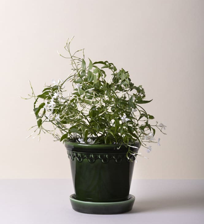 Pot Københavner - geglazuurd-Angelo