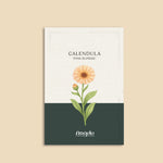 Calendula officinalis 'pink surprise'-Angelo