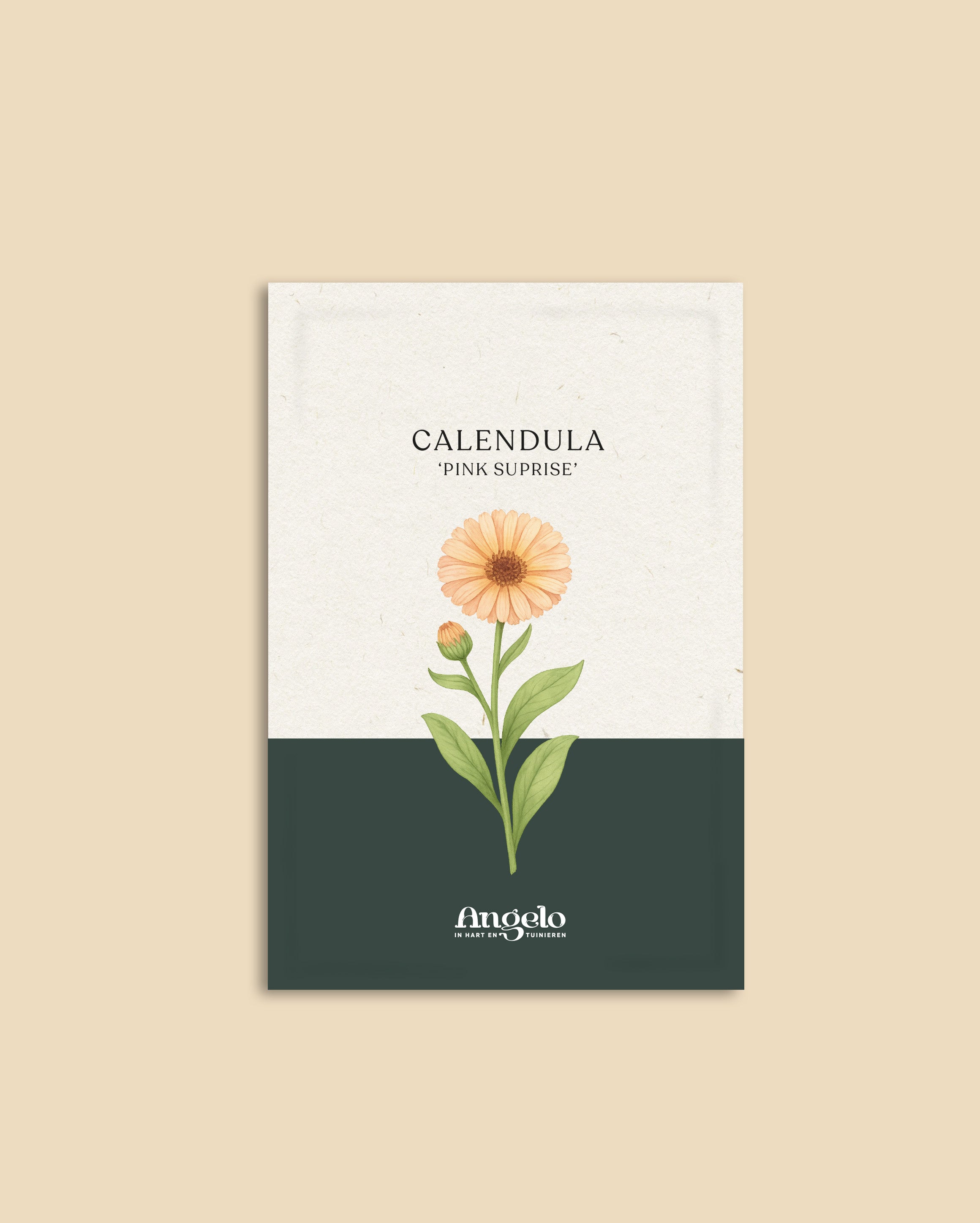 Calendula officinalis 'pink surprise'-Angelo
