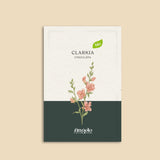 Clarkia ungulata-Angelo