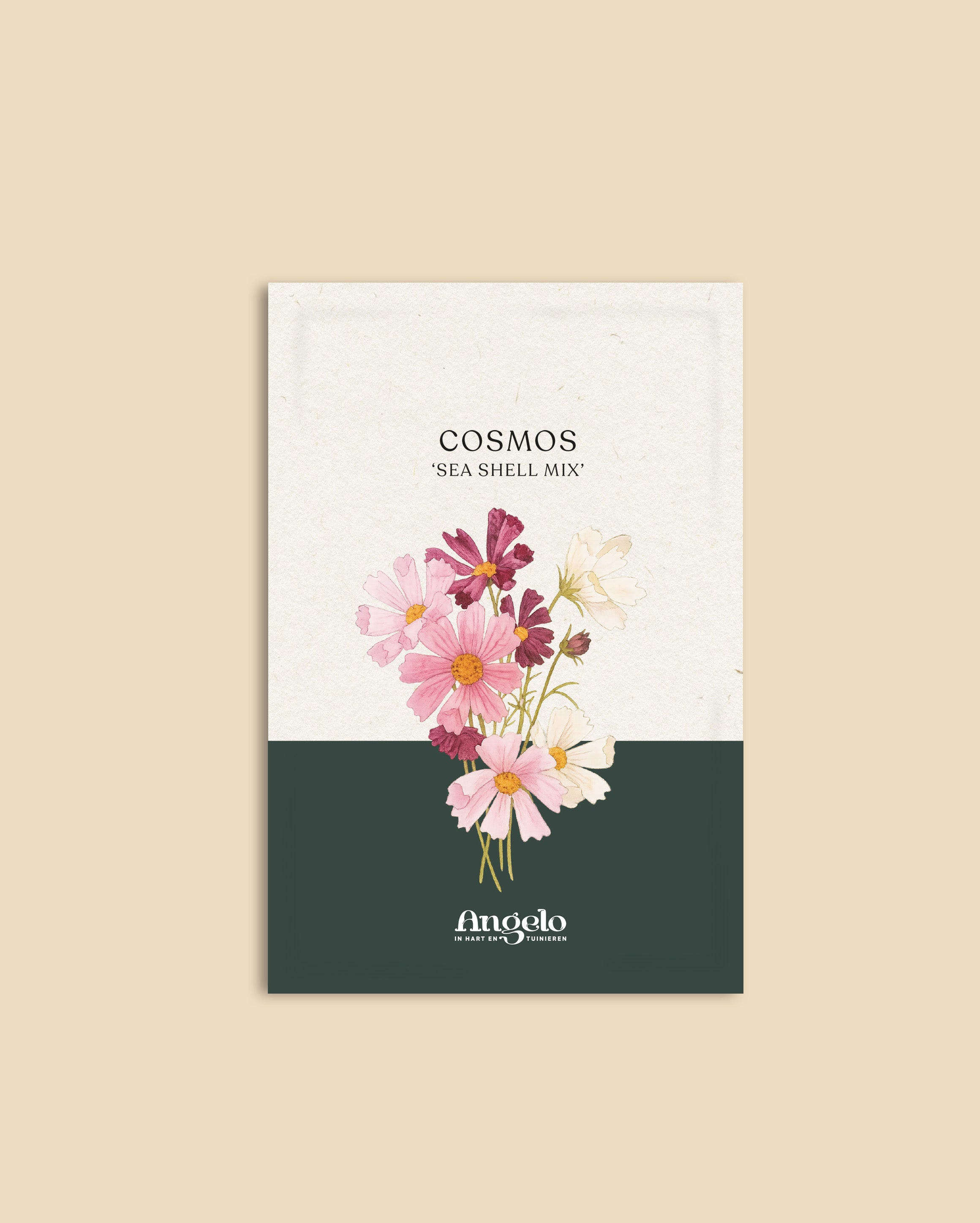 Cosmos bipinnatus 'sea shells mixture'-Angelo