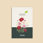 Cosmos bipinnatus 'Cottage Mix'-Angelo