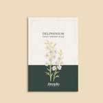 Delphinium consolida 'fancy smokey eyes'-Angelo