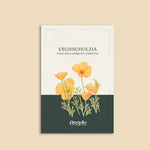 Eschscholzia californica 'thai silk apricot chiffon'-Angelo