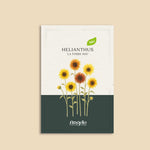 Helianthus annuus 'La Torre mix'-Angelo