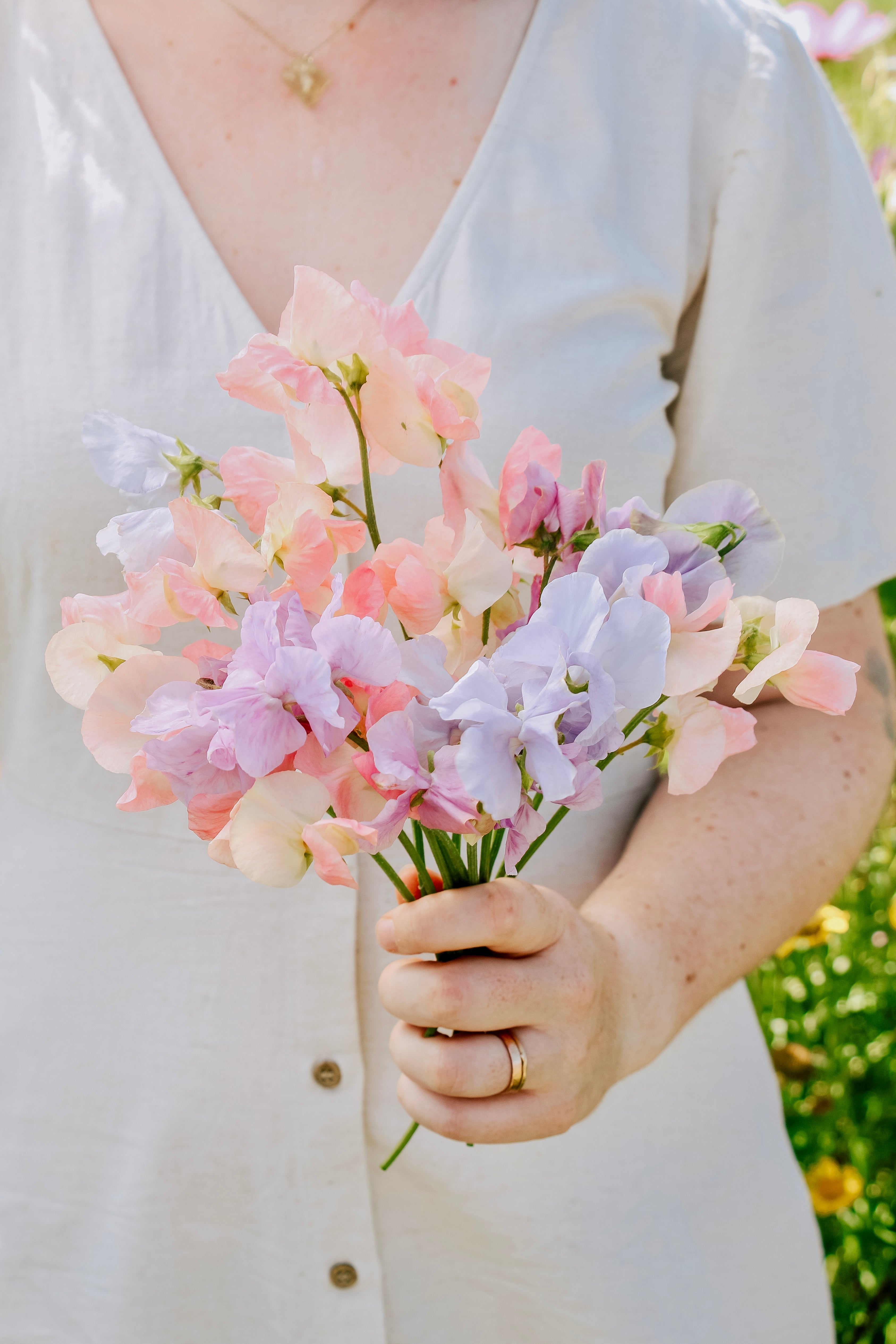Lathyrus odoratus 'Above the clouds mix'-Angelo