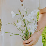 Agrostemma githago 'Ocean Pearls White'-Angelo