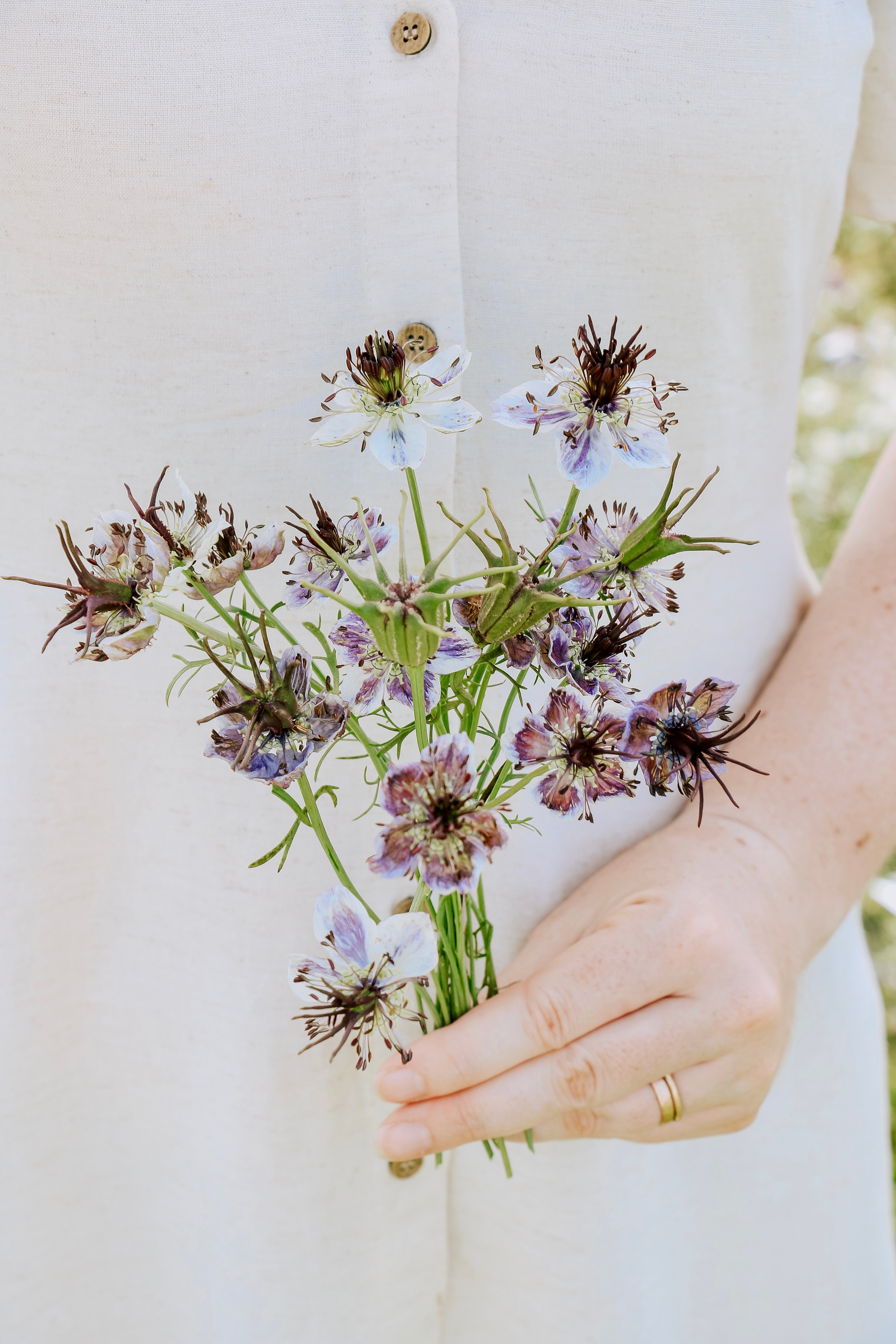Nigella damascena 'Delft Blue'-Angelo