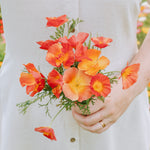 Eschscholzia californica 'Thai Silk Strawberry Fields'-Angelo