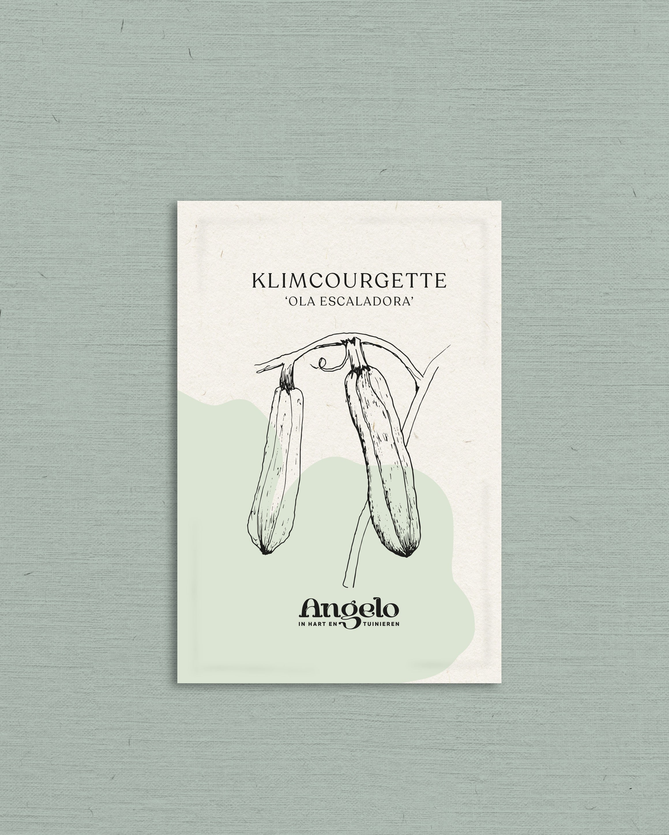 Klimcourgette &