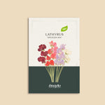 Lathyrus odoratus 'Spencer Mix'-Angelo
