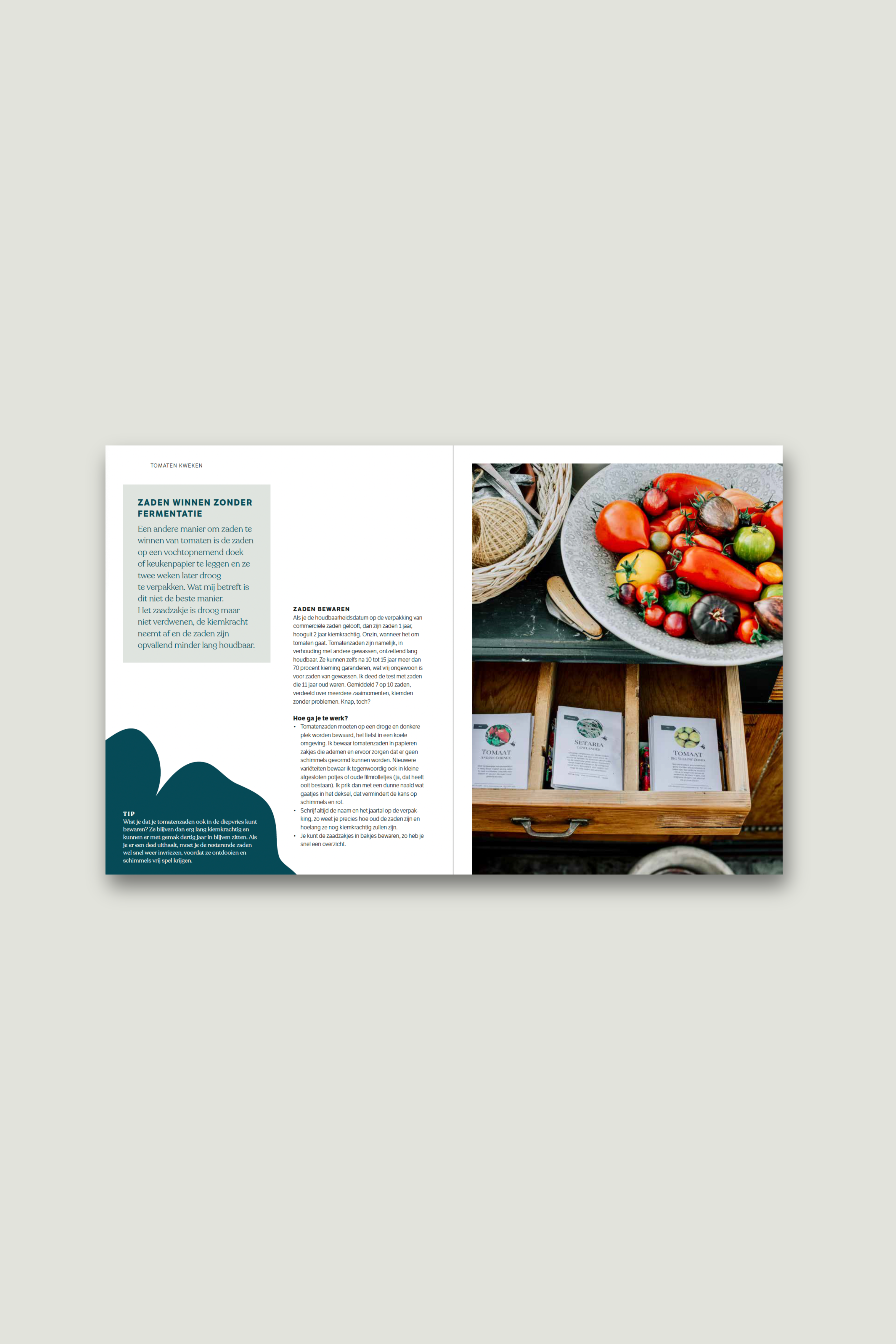 Tuinkalender 2024 + tomatenboek