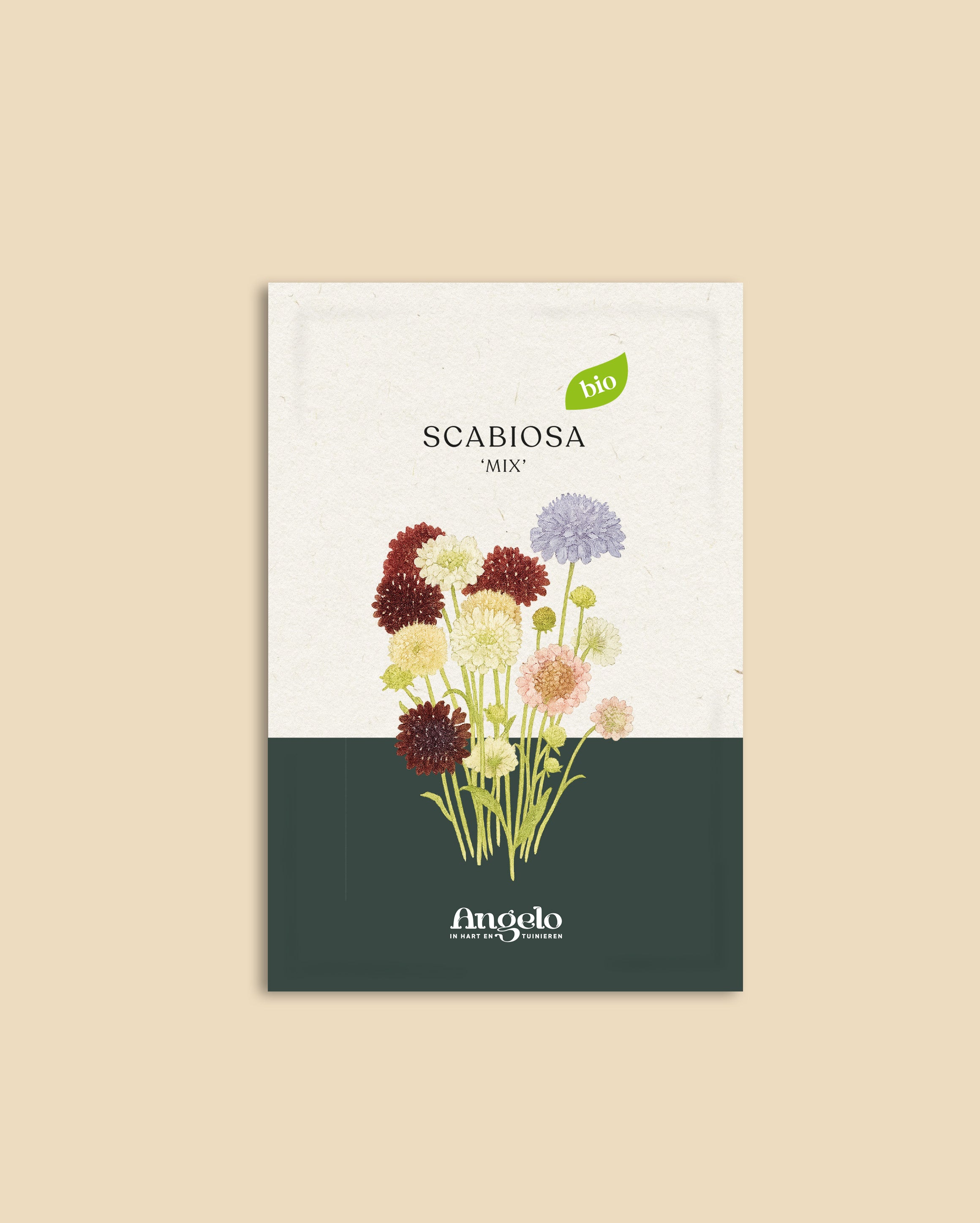 Scabiosa atropurpurea 'Mix'-Angelo