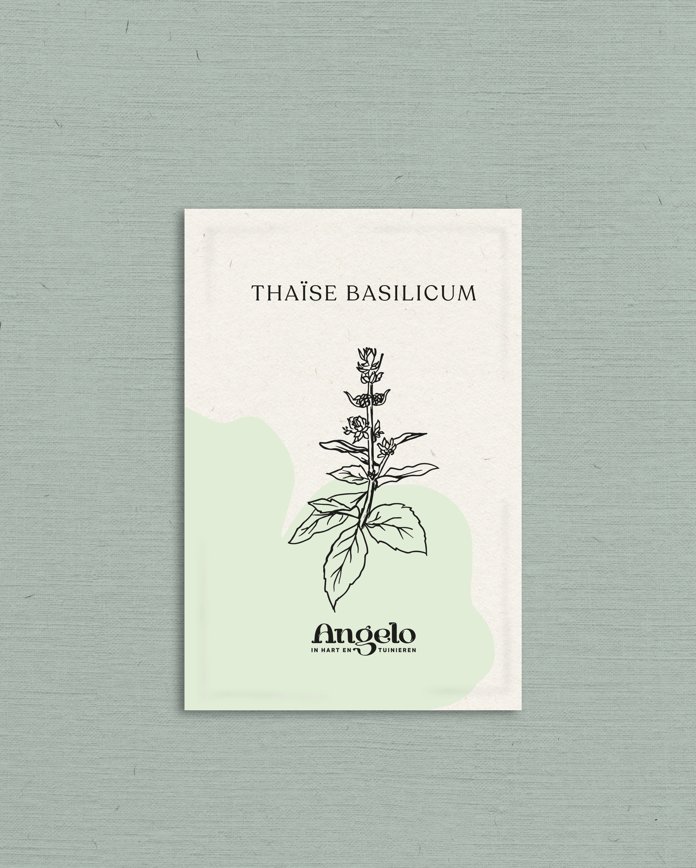 Thaïse basilicum