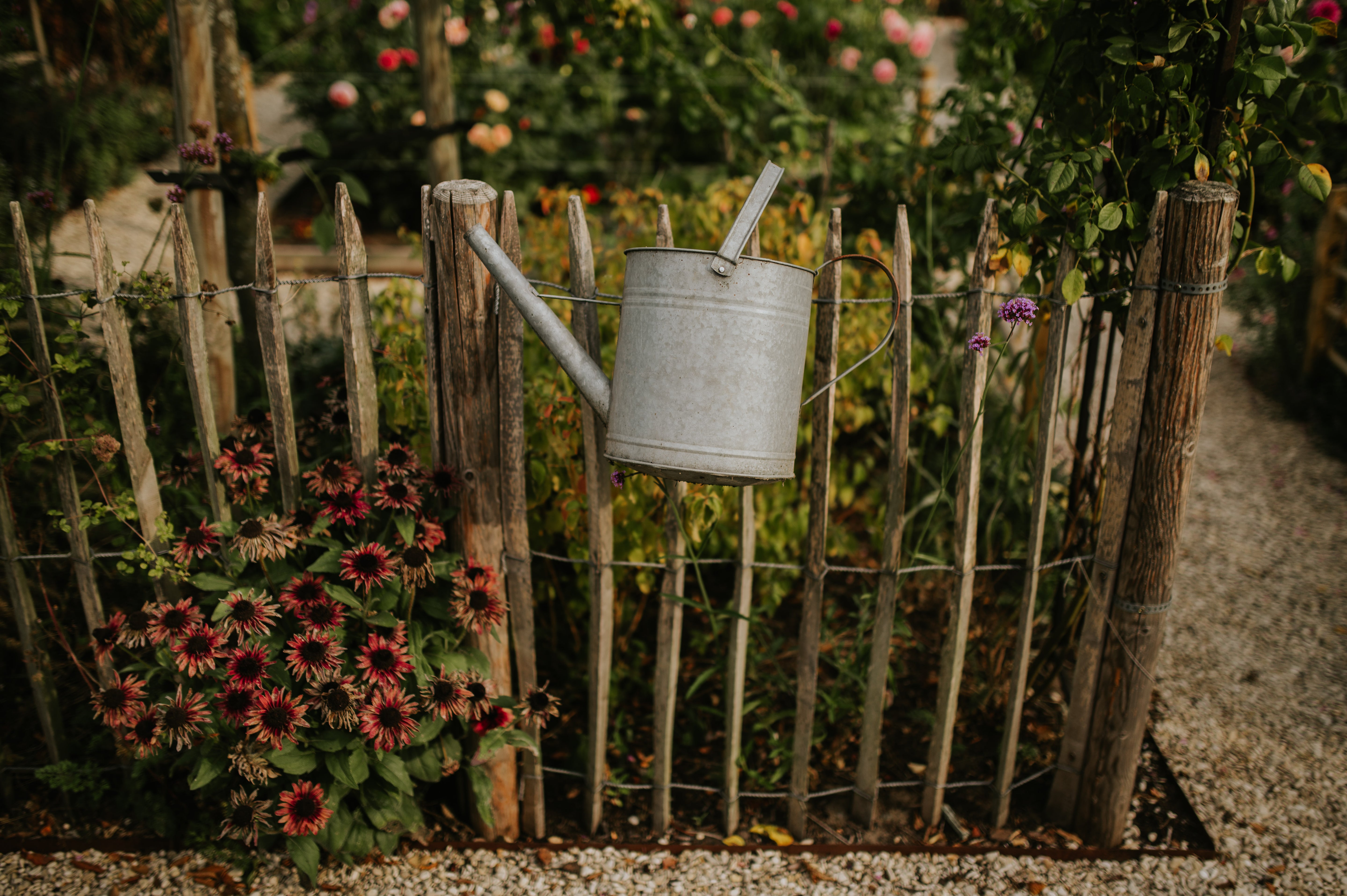 Tumbleweed_Fireflies_Photography_-_Plukplezier_2025-111_1-Angelo