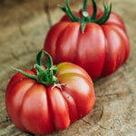 Tomaat 'Purple Calabash'-Angelo