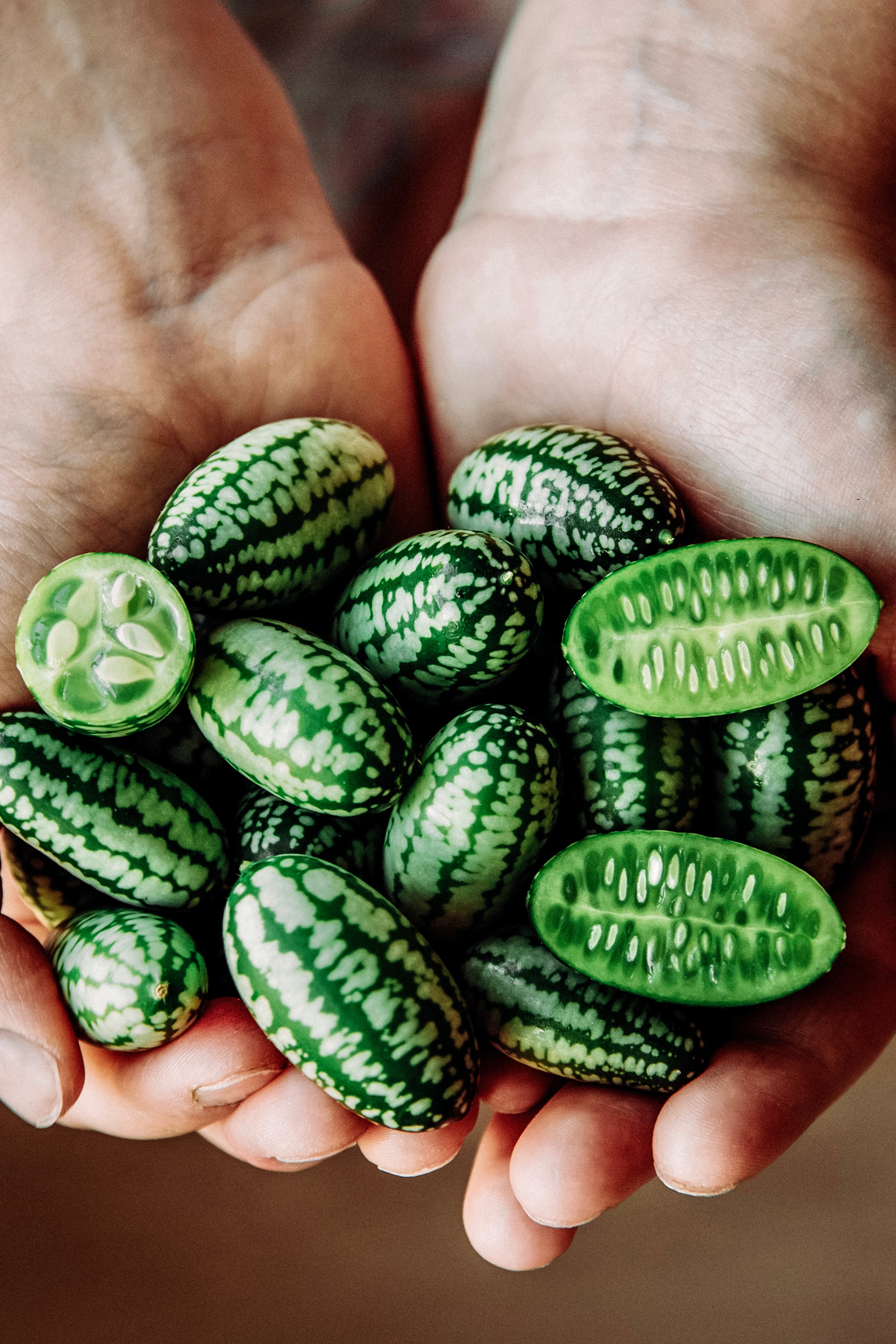 Cucamelon