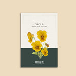 Viola cornuta 'Tiger Eye Yellow'-Angelo