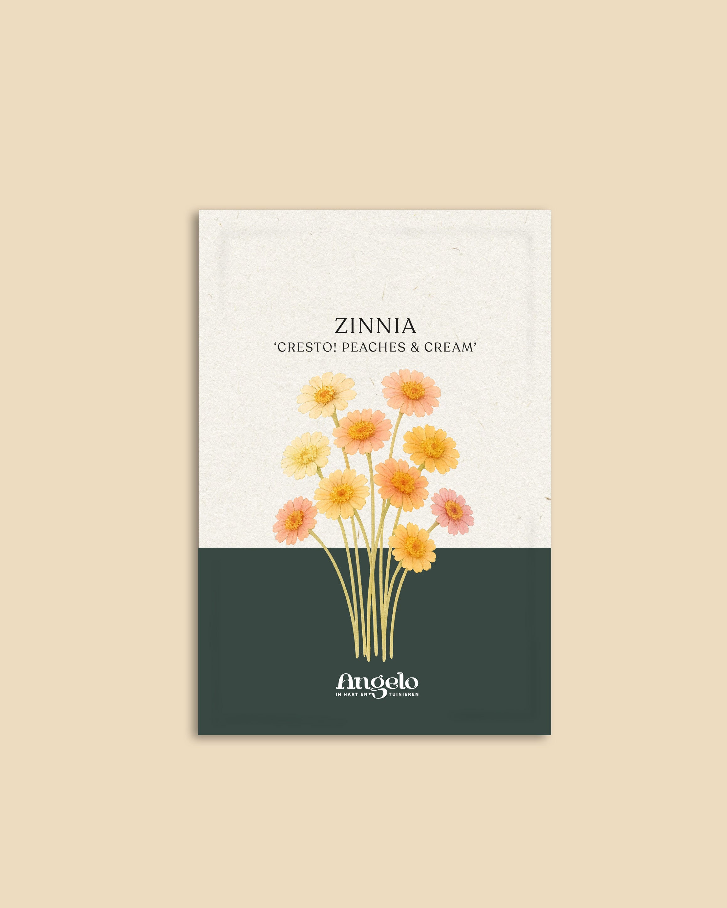 Zinnia elegans 'Cresto! Peaches & Cream'-Angelo