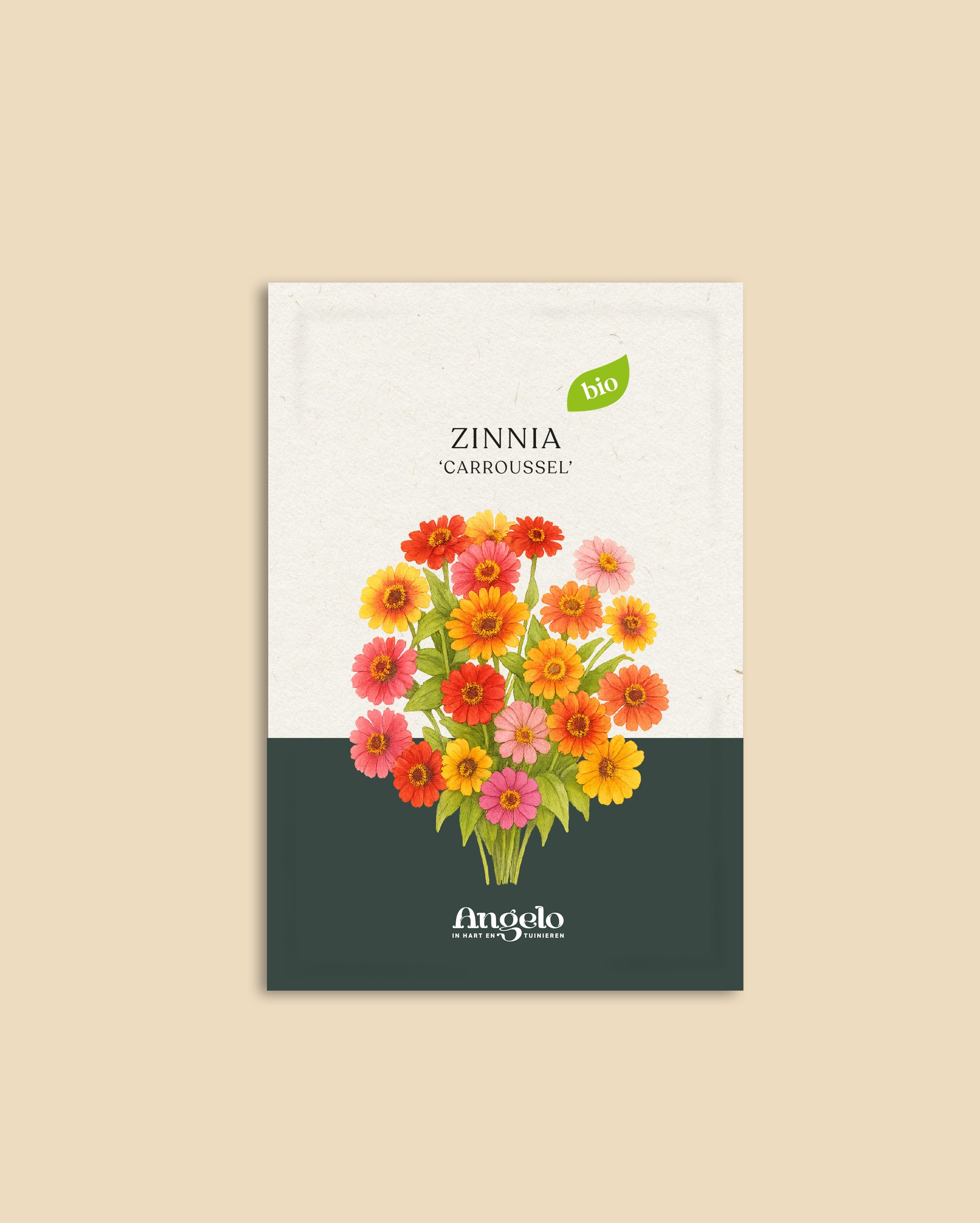 Zinnia elegans 'Carroussel'-Angelo