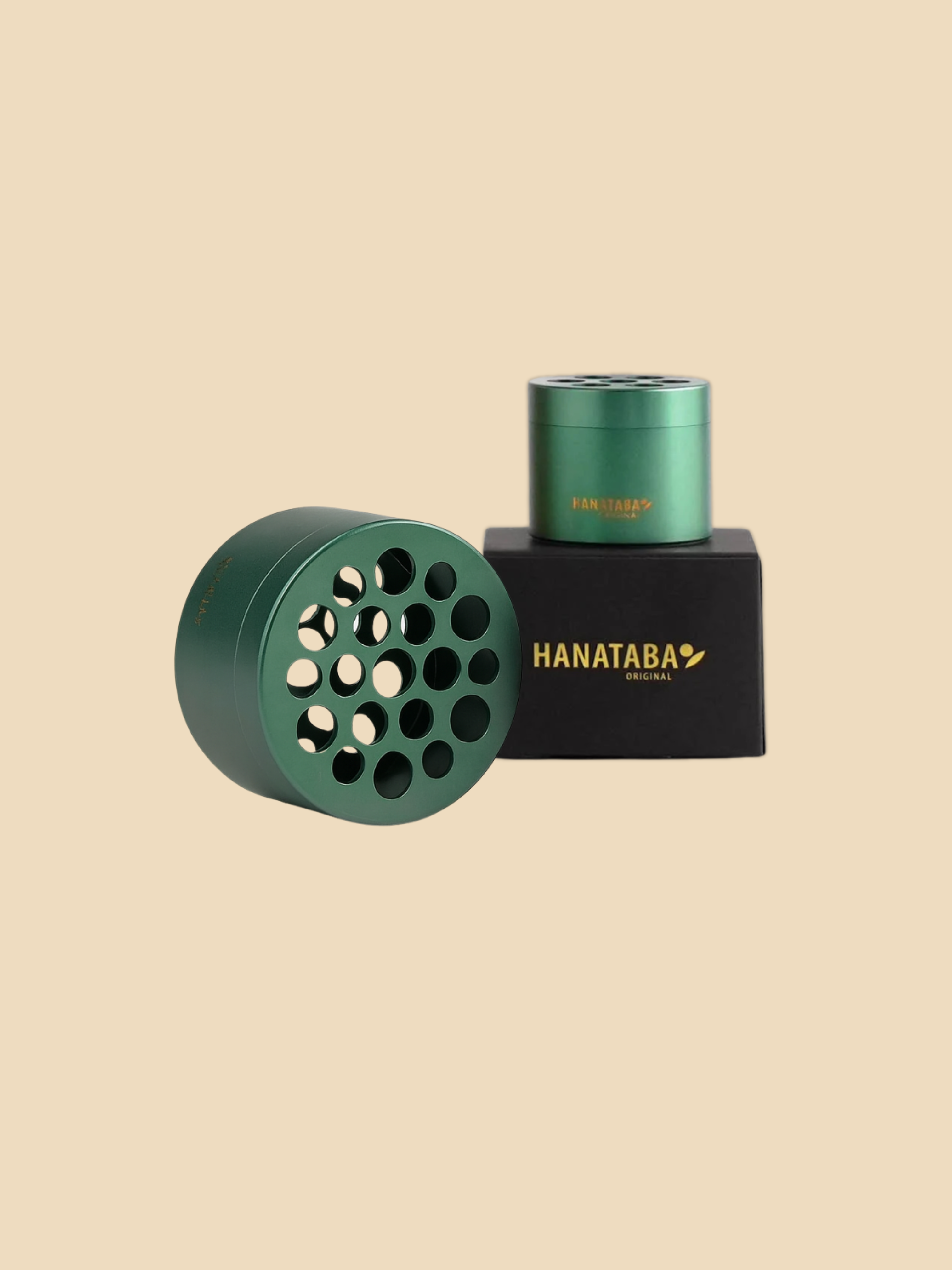Hanataba - Green Ivy-Angelo