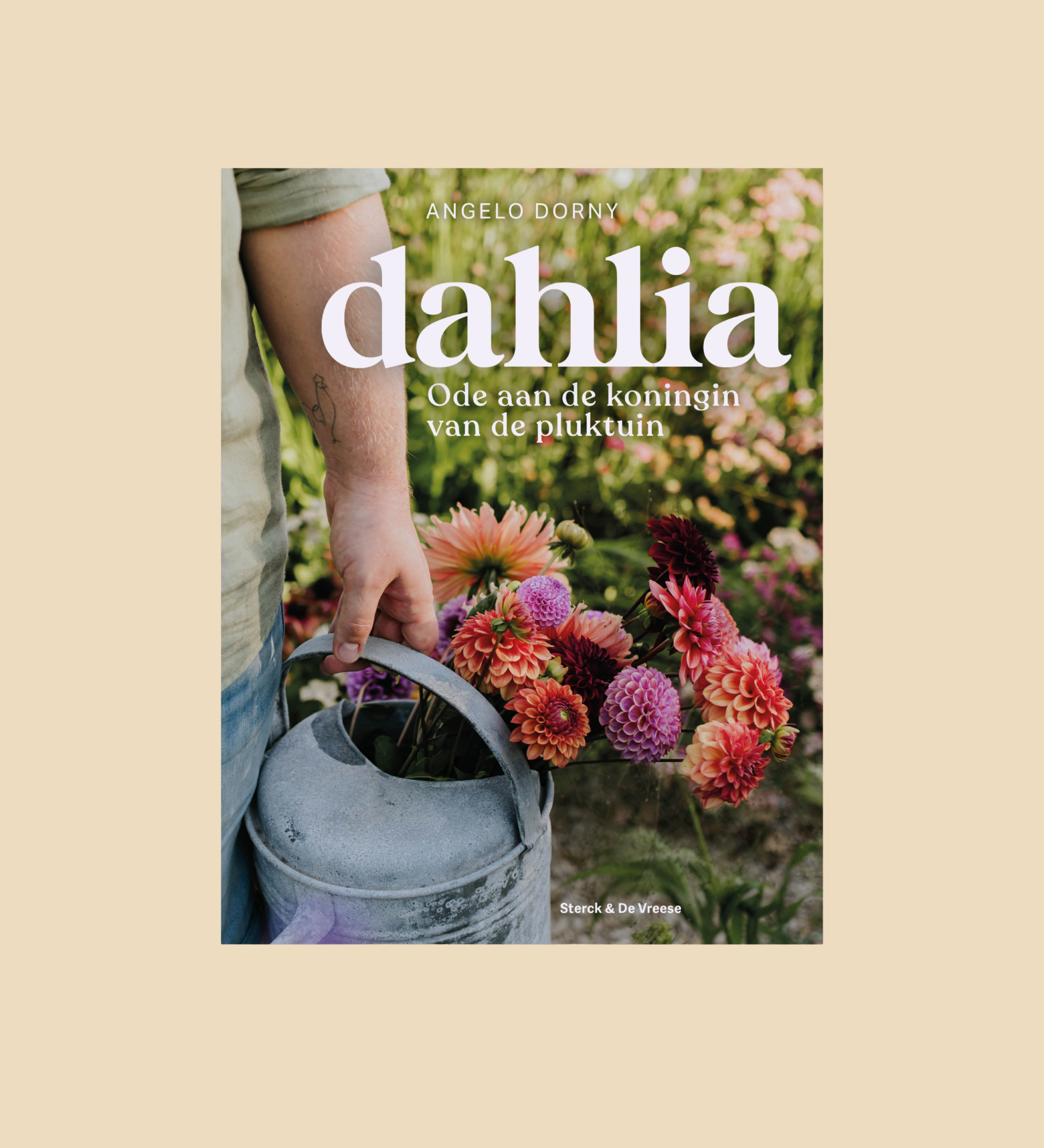 Dahlia - ode aan de koningin van de pluktuin-Angelo