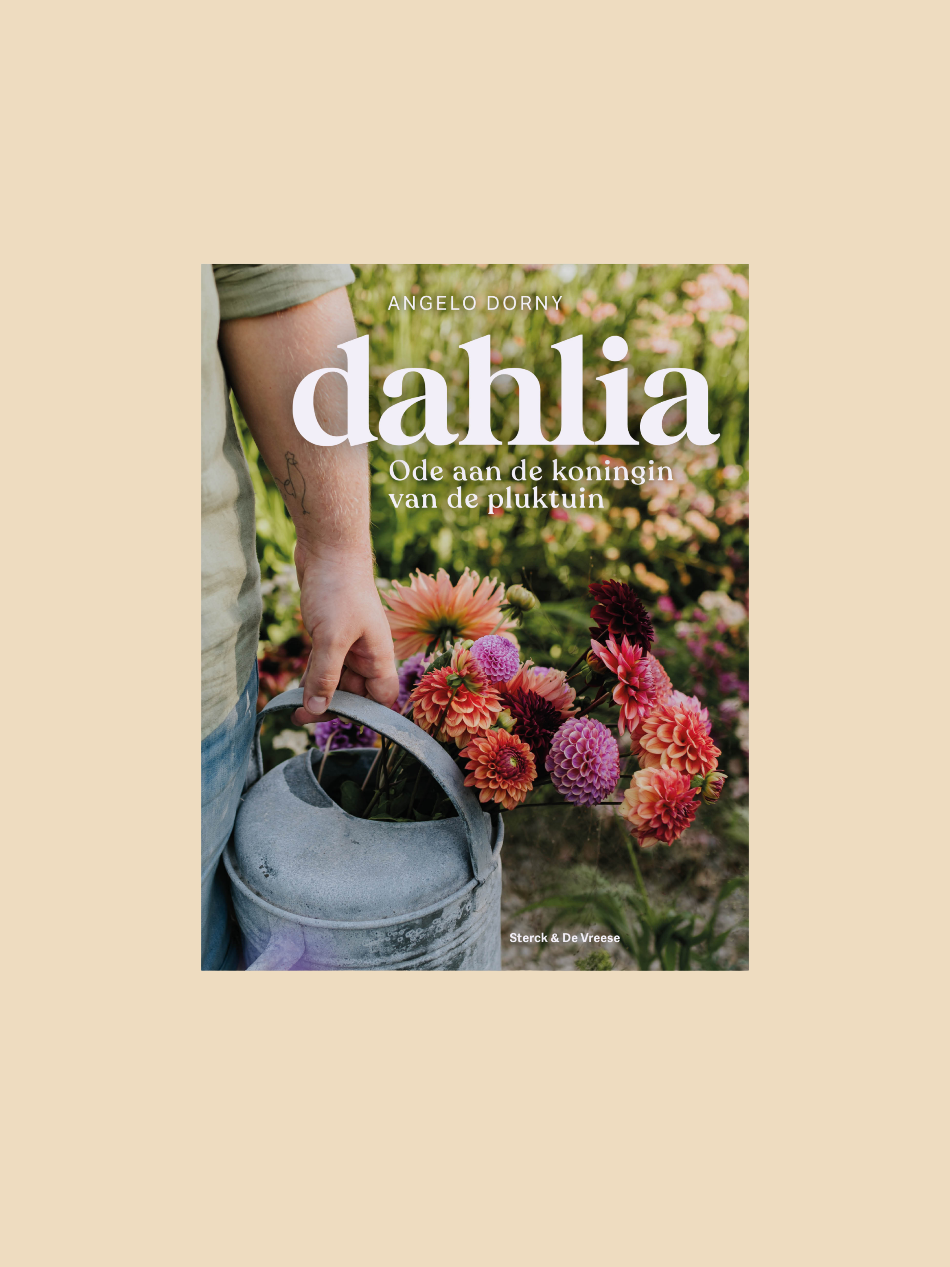 Dahlia - ode aan de koningin van de pluktuin-Angelo