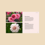 Dahlia - ode aan de koningin van de pluktuin-Angelo