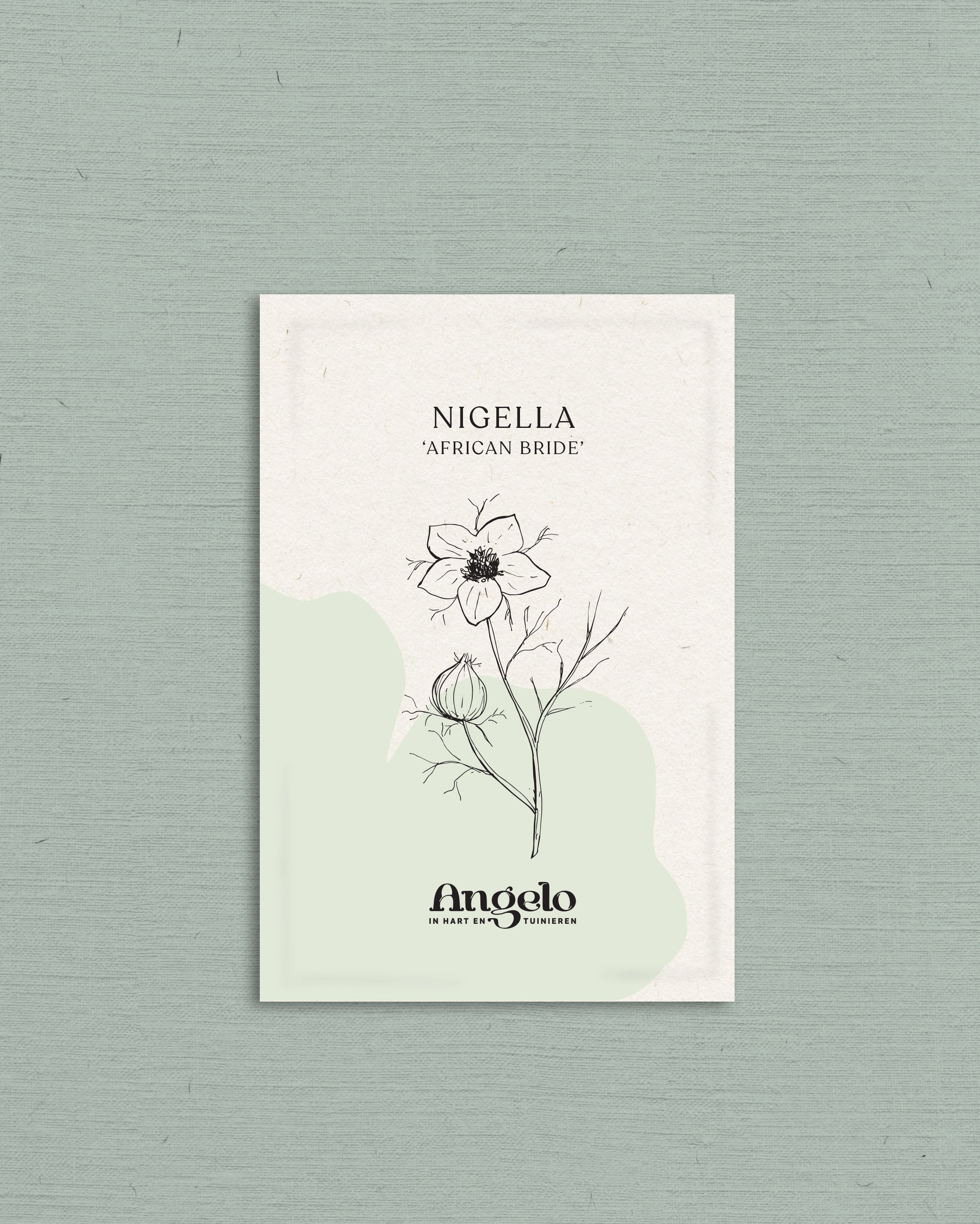 Nigella papillosa &