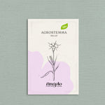 Agrostemma githago 'milas'-Angelo