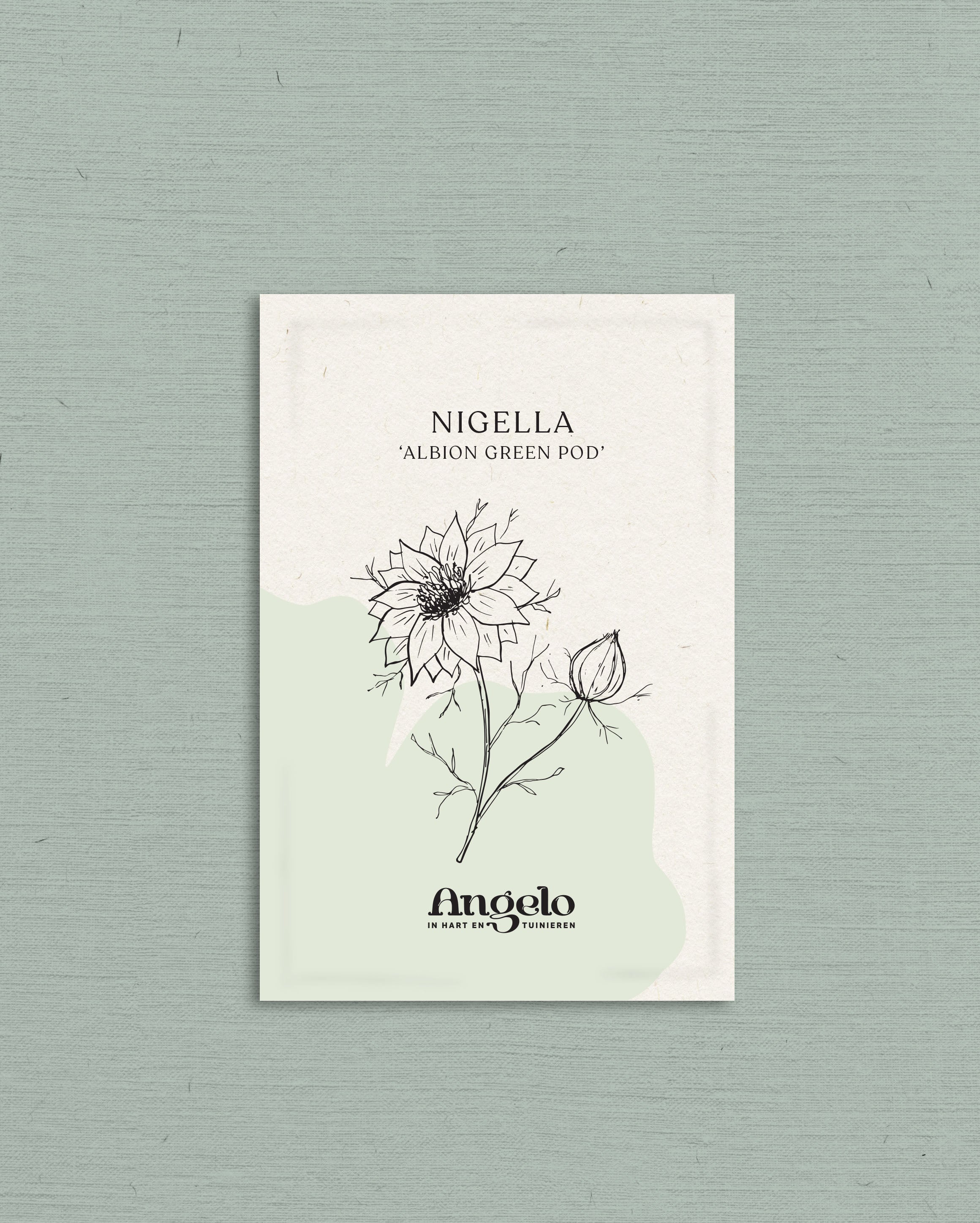 Nigella damascena &