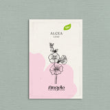 Alcea 'Lene'-Angelo