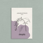 Amaranthus caudatus 'mira'-Angelo