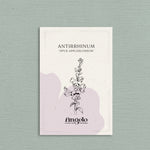 Antirrhinum majus 'opus appleblossom'-Angelo