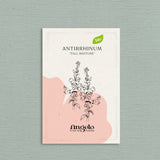 Antirrhinum majus 'Tall Mixture'-Angelo