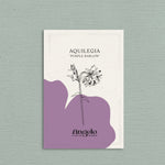 Aquilegia vulgaris 'purple barlow'-Angelo