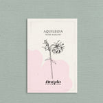 Aquilegia vulgaris 'Rose Barlow'-Angelo