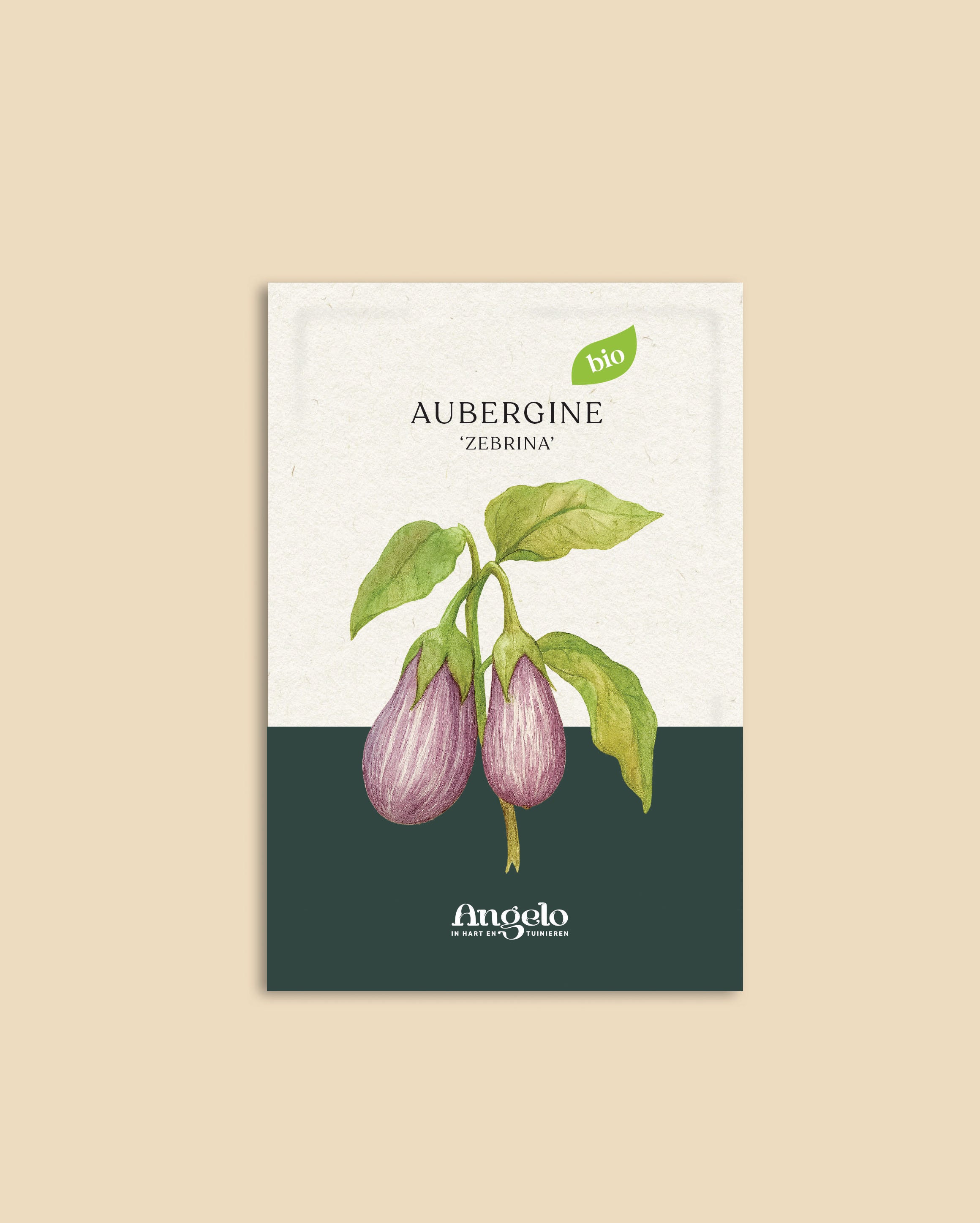 Aubergine 'Zébrina'-Angelo