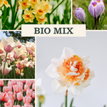 Bloembollenpakket: Bio Mix met verschillende soorten biologisch bloembollenpakket in kleurrijke bloemen.