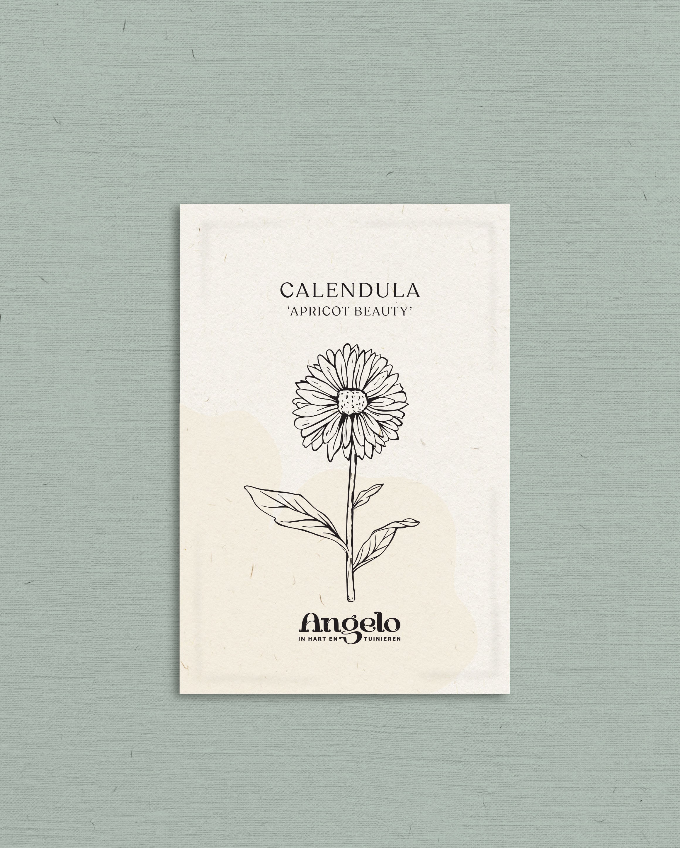 Calendula officinalis &