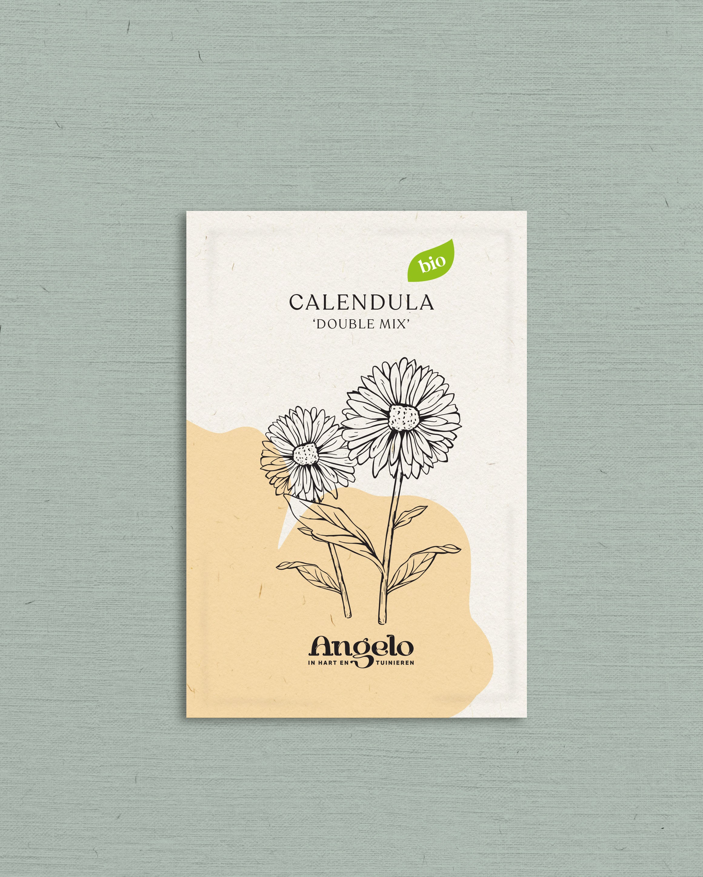 Calendula officinalis &
