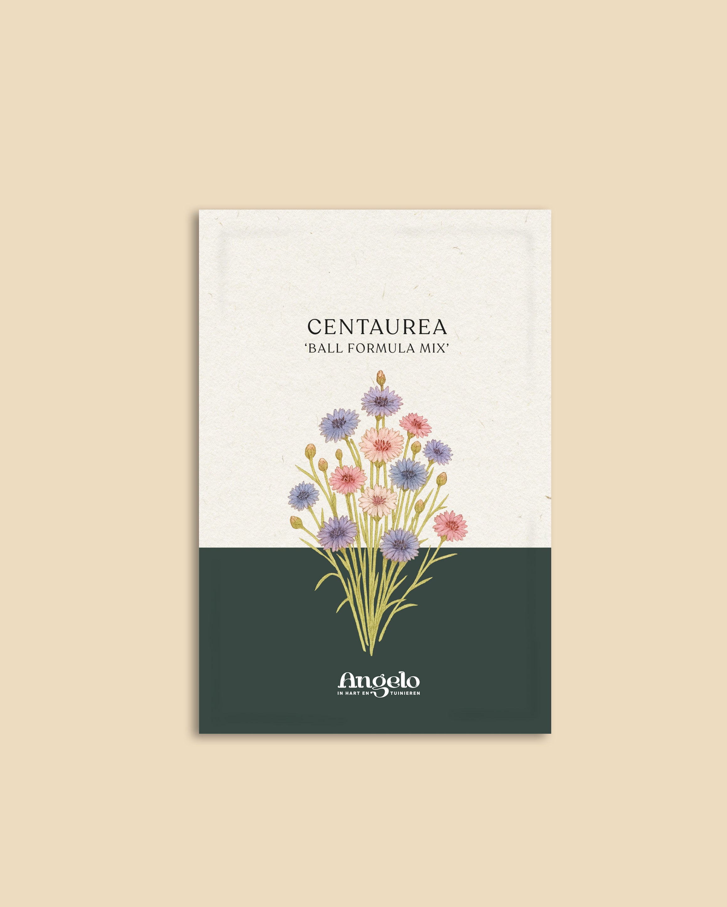 Centaurea cyanus 'ball formula mix'-Angelo