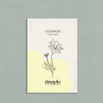 Cosmos bipinnatus 'xanthos'-Angelo