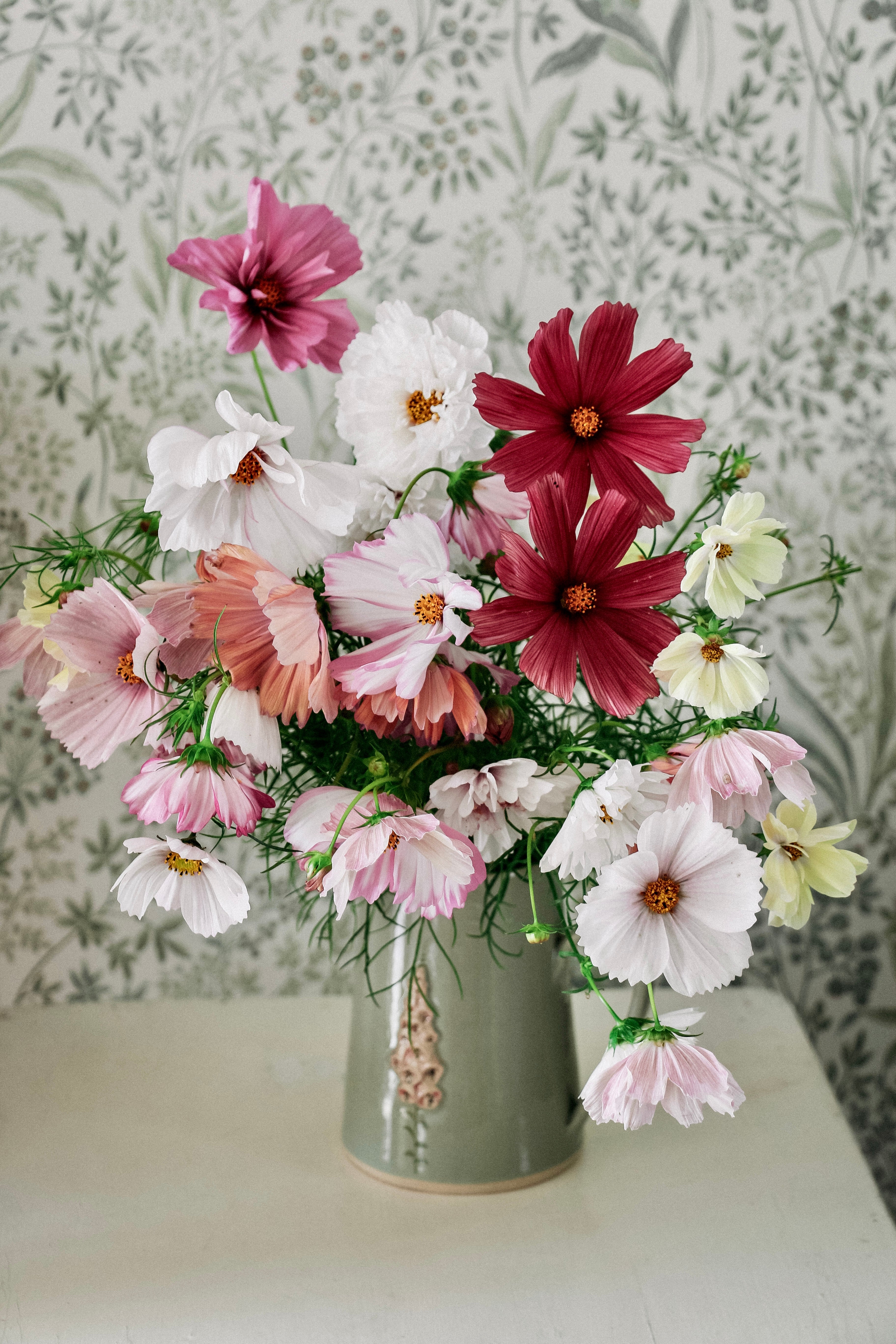 Collectie: cosmos