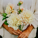 Dahlia 'Break Out'-Angelo