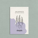 Delphinium consolida 'Qis formula mixture'-Angelo