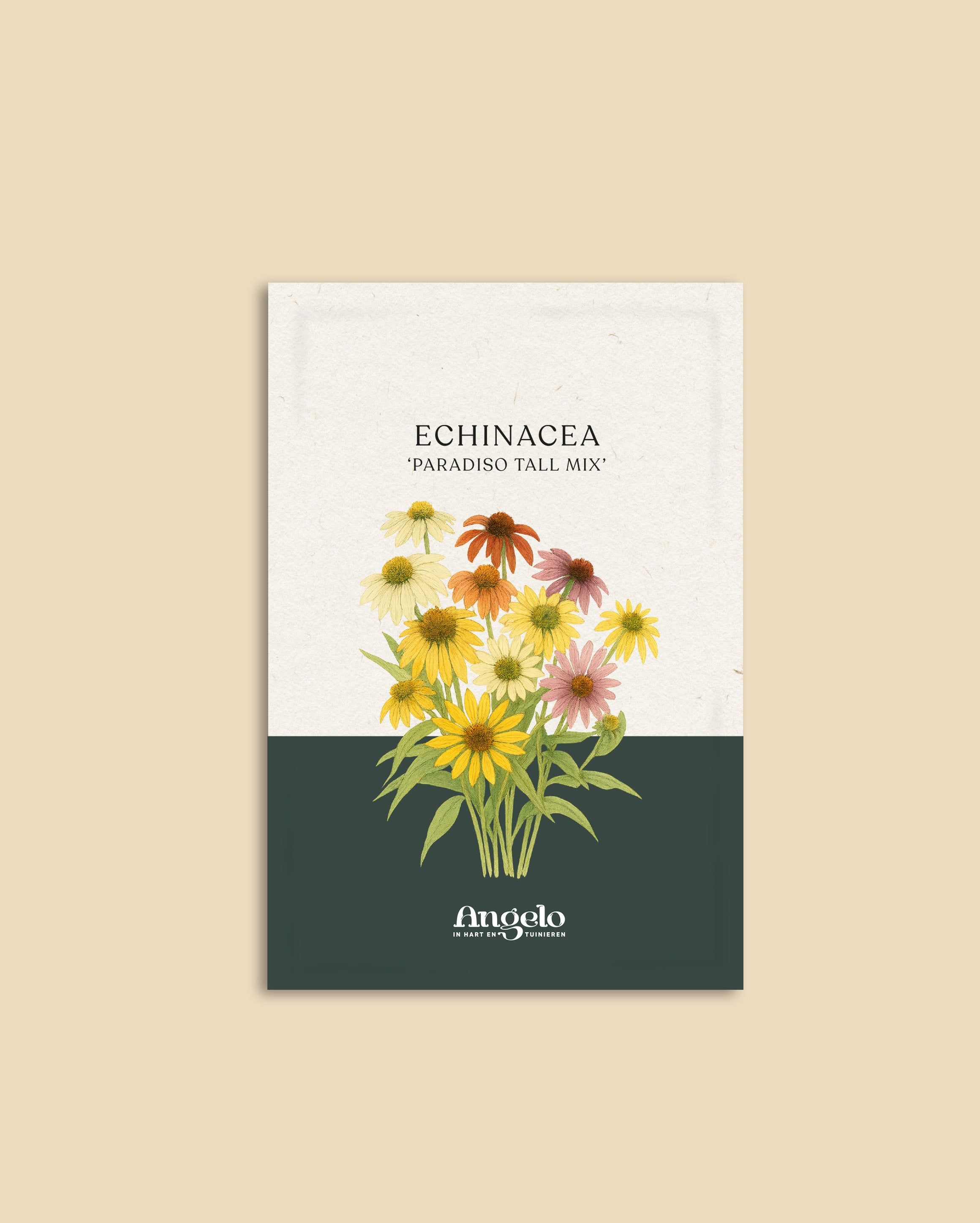 Echinacea purpurea 'paradiso tall mix'-Angelo