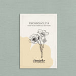 Eschscholzia californica 'Thai Silk Formula Mixture'-Angelo